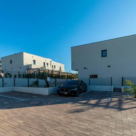 Pinna - Vanga 풀라