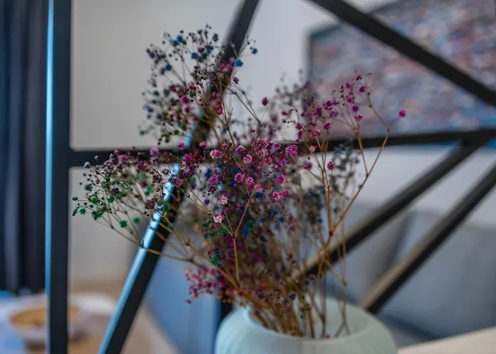 아파트 Pinna - Vanga 풀라