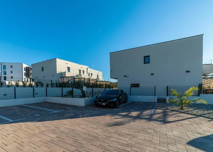 Pinna - Vanga 풀라